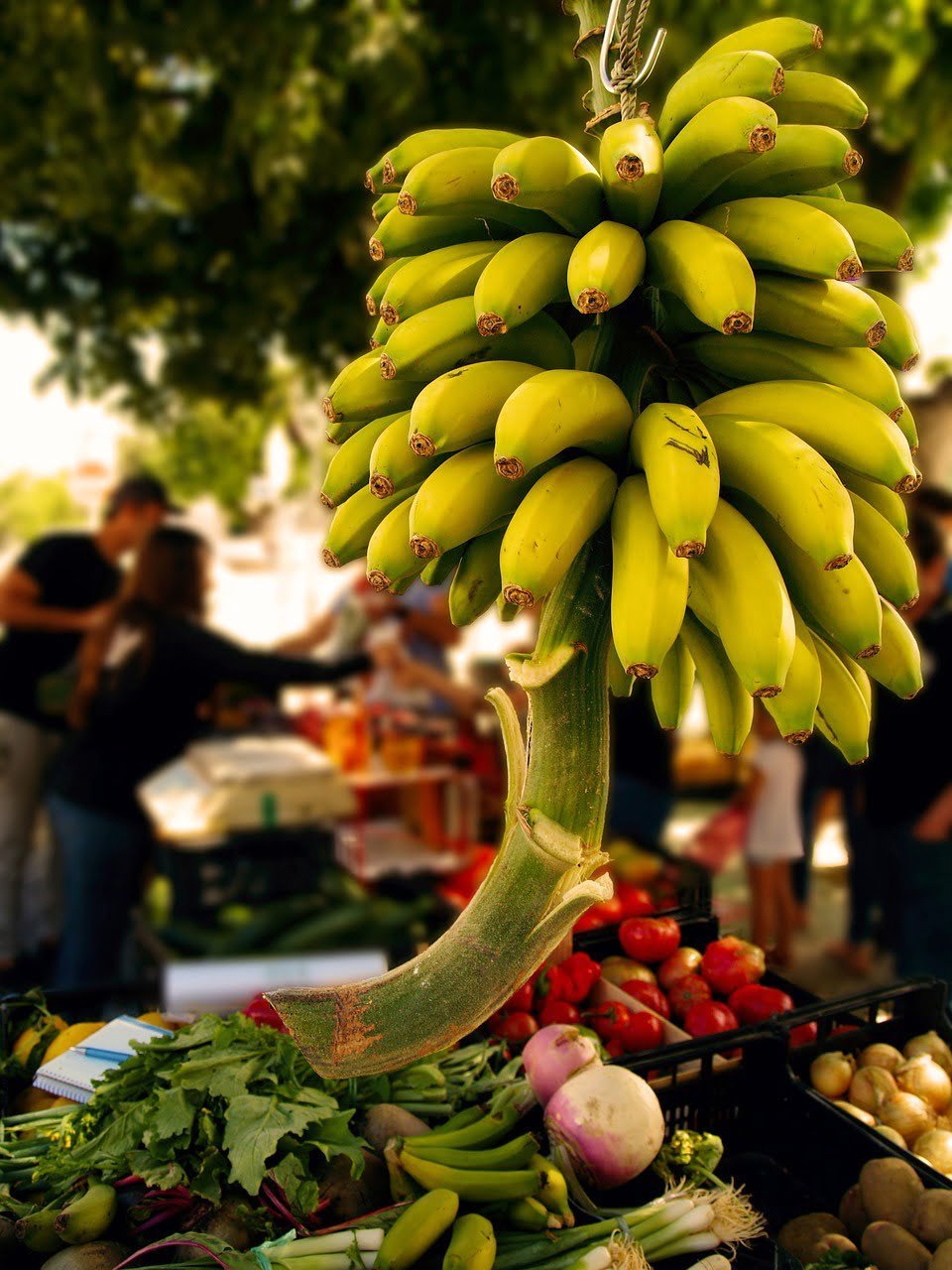 La Banane SuperStar des Fruits pour la Santé et le Bien-être!